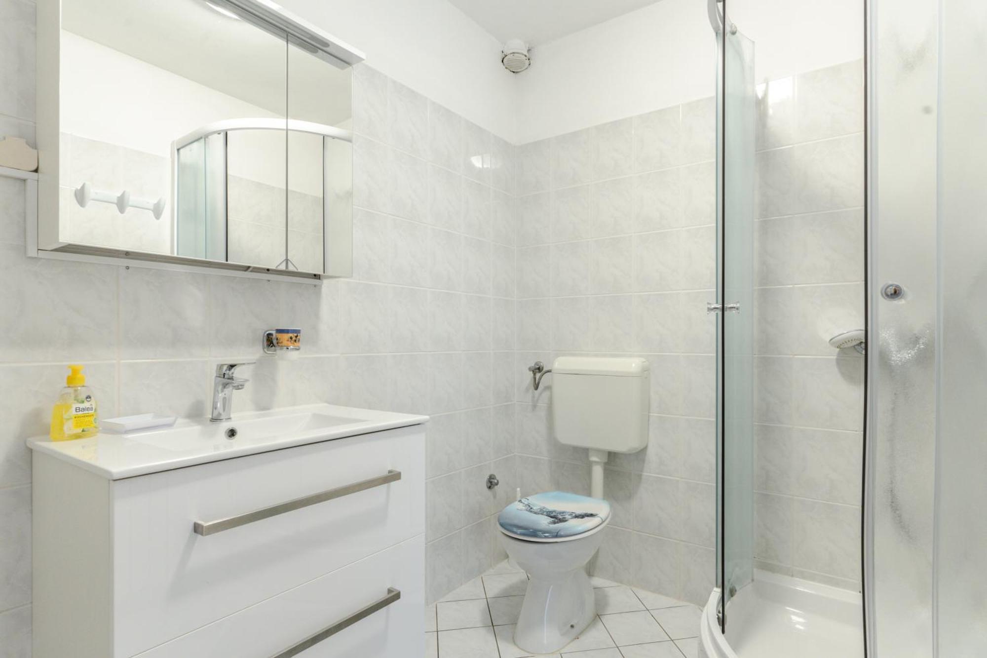 Sunny Apartment Valbandon 法扎纳 外观 照片
