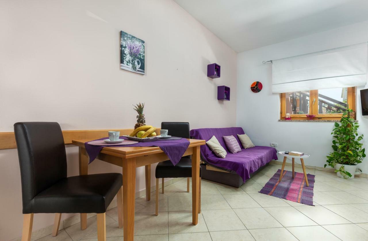 Sunny Apartment Valbandon 法扎纳 外观 照片